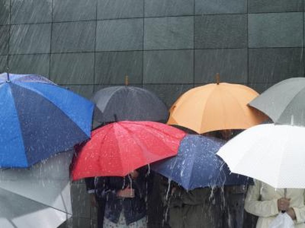 Group of people standing under umbrellas in rain