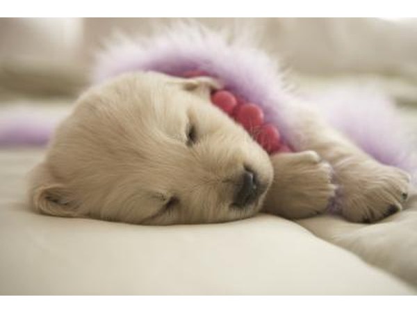 The down comforter you love so much can also have dander.
