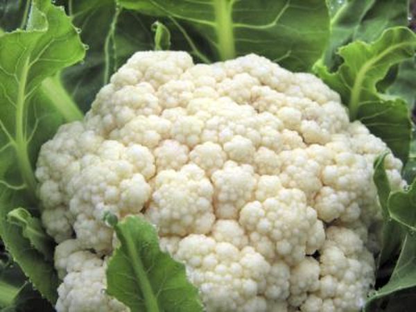 Cauliflower