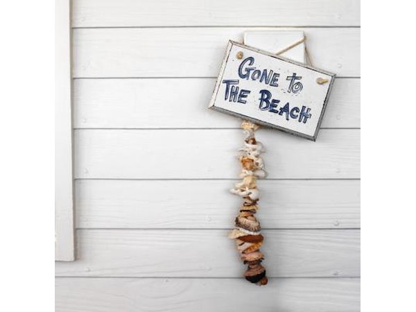 Use clean shells to make decorative objects.