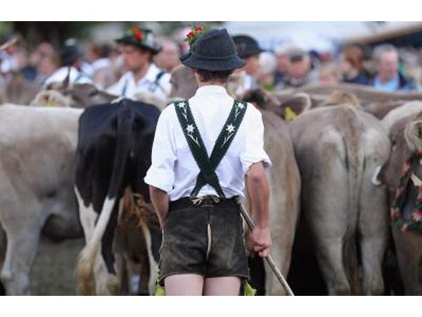 Herdsman with Cattle