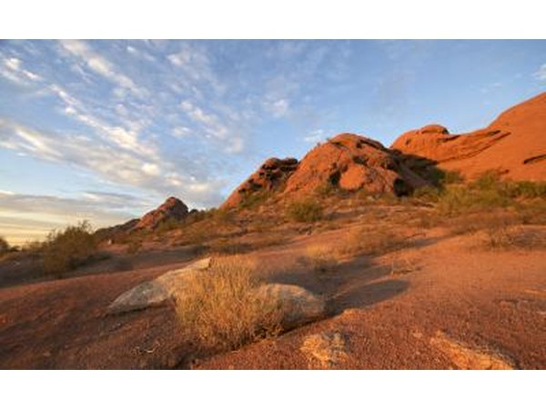 Arizona has opals and turquoise.