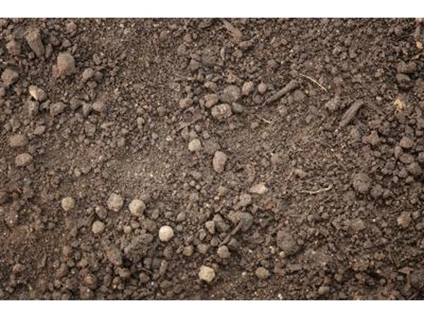 Soil Preparation Is Essential