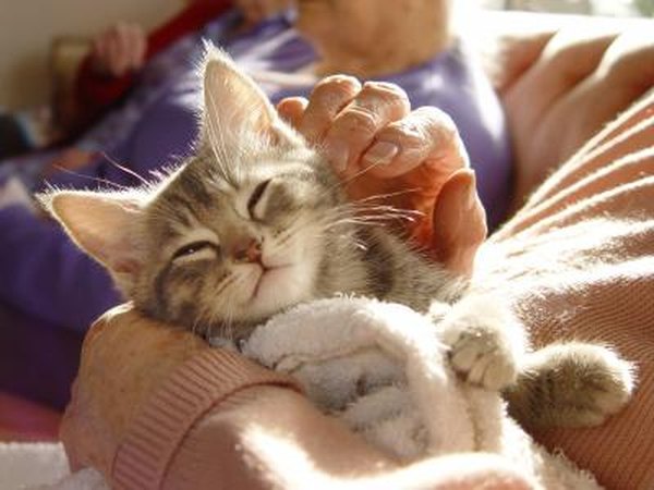 A cat visits at a nursing home.