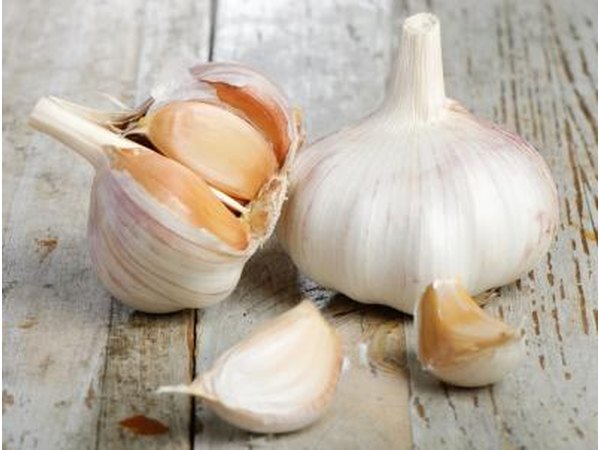 Garlic bulb and cloves
