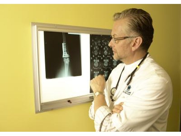 Vet