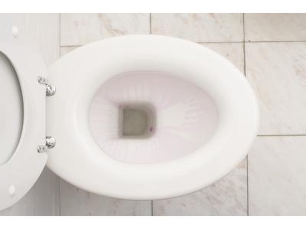 decorated toilet seat