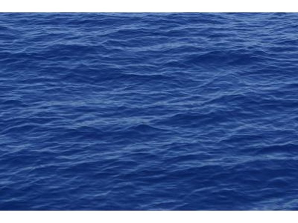 Sole lay on the ocean floor and look up to seek prey.