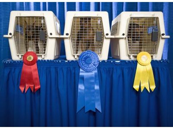 Airline carriers are good for travel but not as good for house training.
