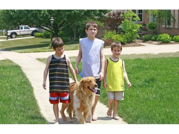 Walking neighborhood dogs is another opportunity.