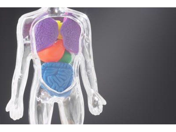 Glucose concentrations in the blood stream are primarily controlled by the action of two antagonistic pancreatic hormones