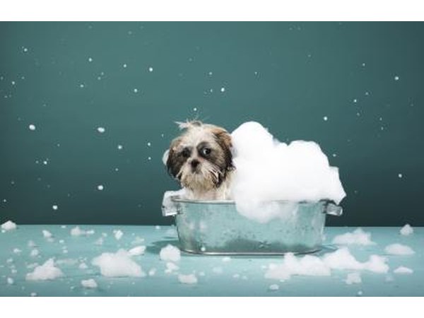 Soap used for dogs may cause skin problems.