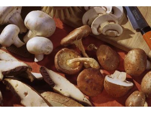 Assorted mushrooms on cutting board