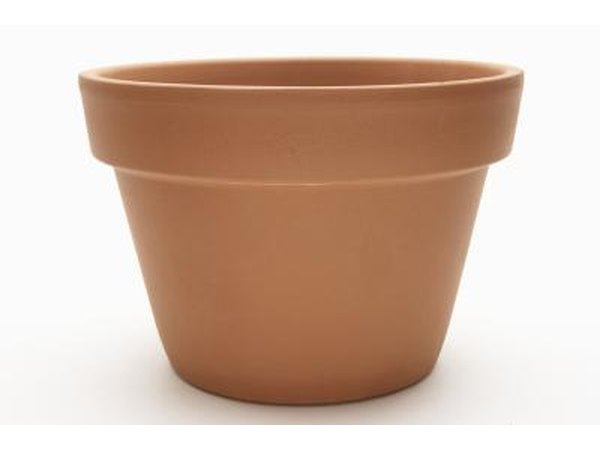 Terra-cotta pot