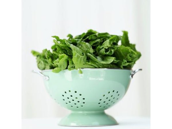 Colander of fresh spinach.