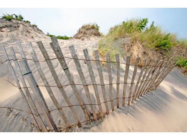 Wind breaks can slow erosion.