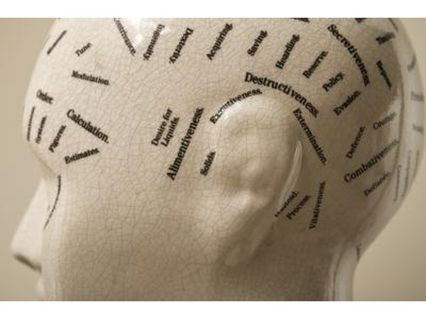 A background in psychology may prepare you for a career as an intelligence analyst.