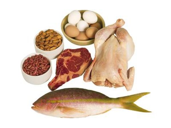 High protein foods.
