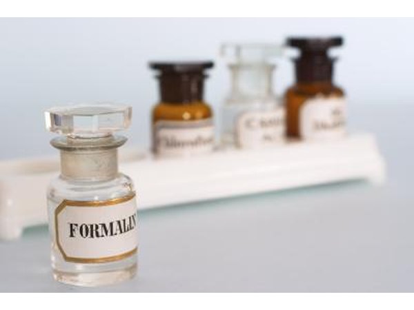 Several clear bottles with preservatives.