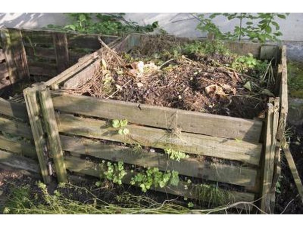 Compost bin