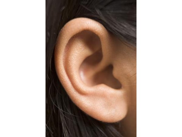 human ear