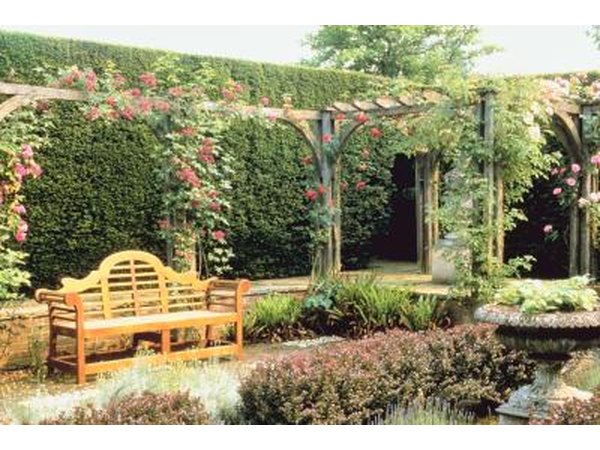 Climbing roses on an arbor over a bench enhance the garden setting.