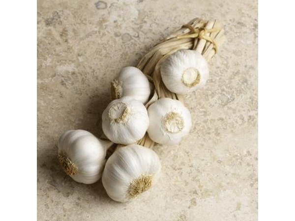 Garlic cloves on a counter top.