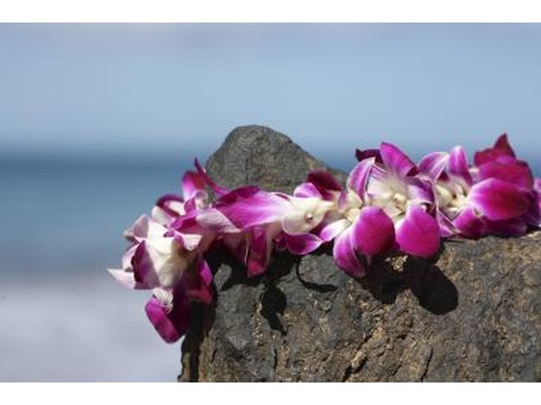 Fresh flower Hawaiian lei resting on rock.