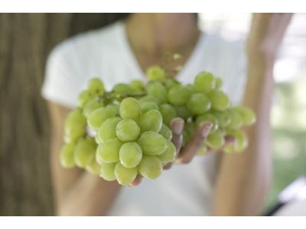 Resveratrol may help regulate the metabolism.