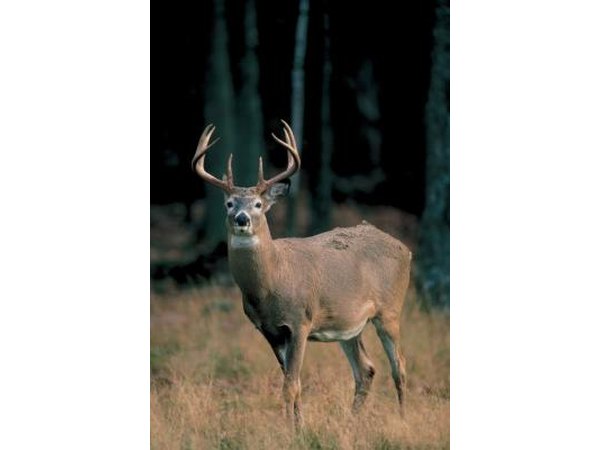 Wisconsin