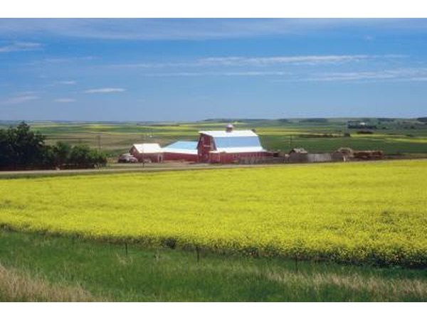 Farms