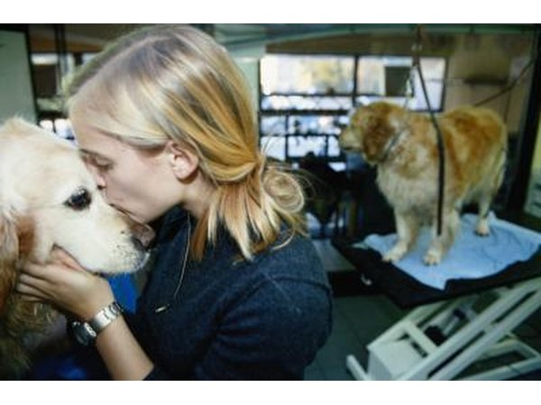 Interacting with animals