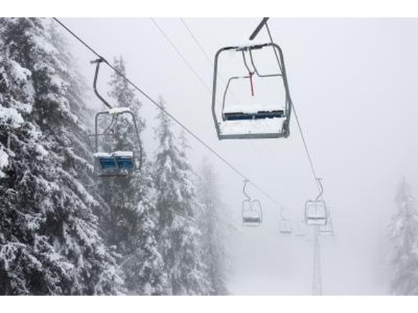Snow storm with evergreens covered in fresh powder