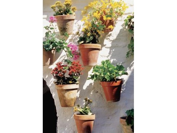 Mounted Flower Pots