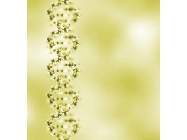 A close-up of a DNA chain.