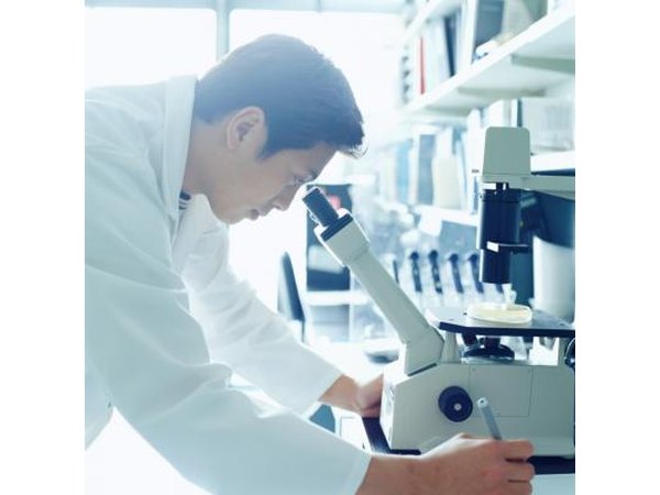 Researchers are uncertain as to why diverticulas begins.
