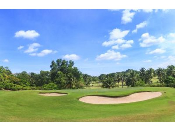 The Ambrose scramble takes handicaps into consideration.