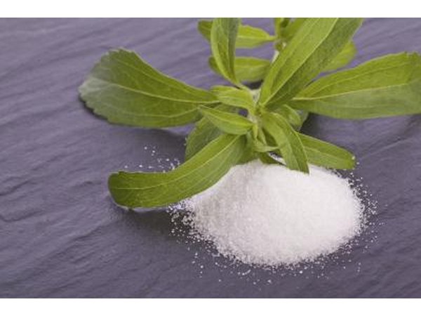 Stevia plant and powder.