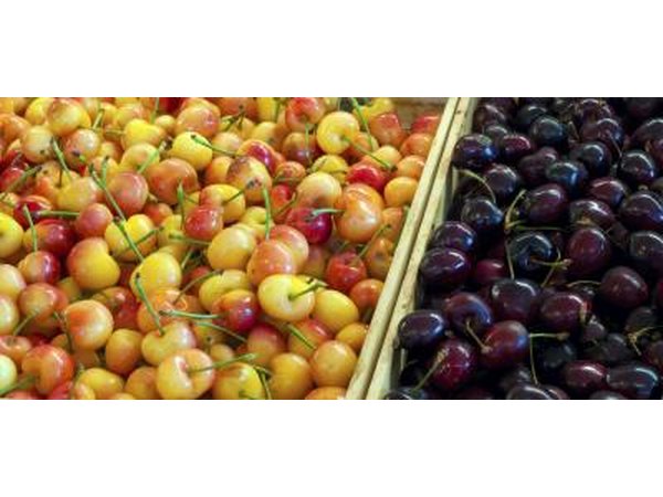 There are many different varieties of cherries.