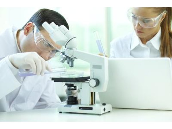 Laboratory assistants prepare and analyze samples.