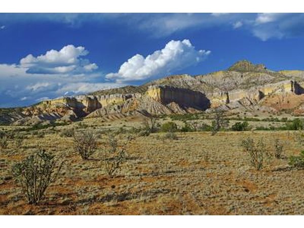 New Mexico desert