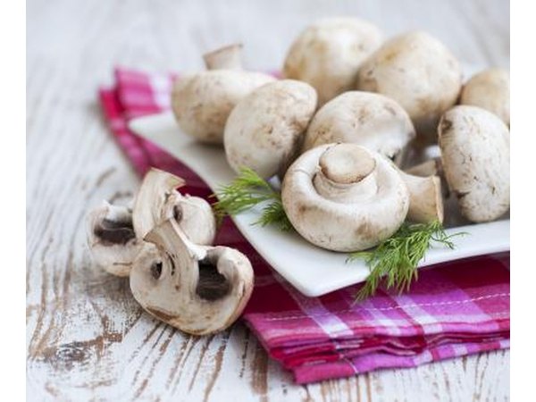 White mushrooms on a plate.