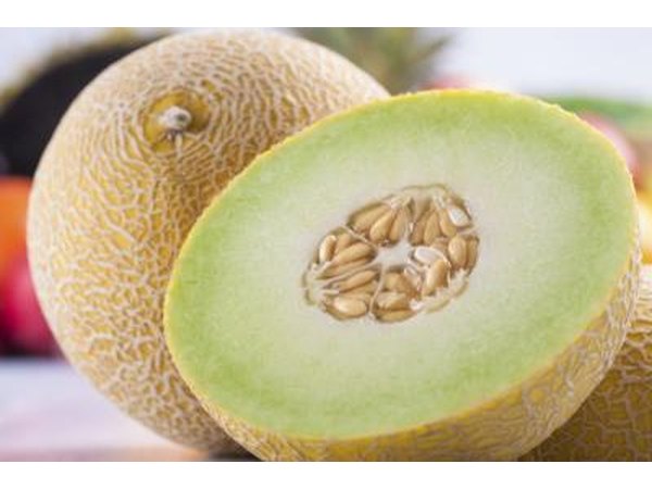 Melon cut in half