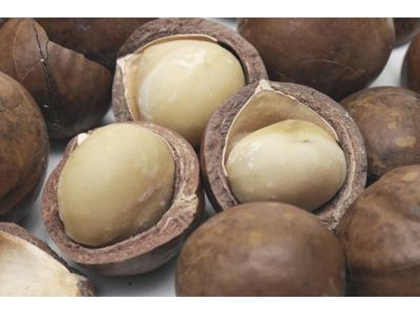 Nuts are both high in fat and nutritious.