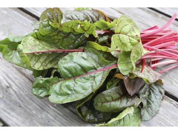 A bunch of swiss chard.