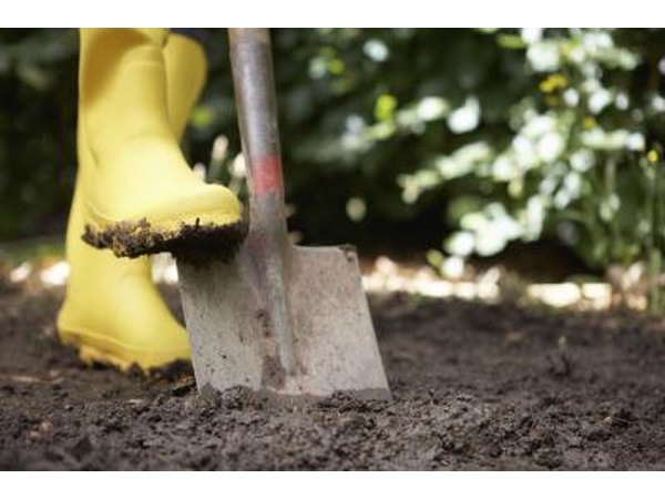 Shovel digs a hole in soil