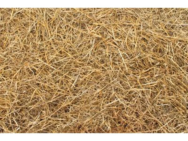 Pile of straw over grass
