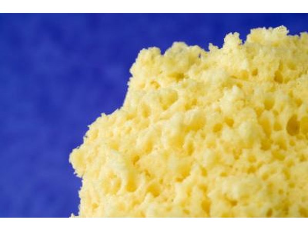 A sea sponge is used to make a pattern on a painted surface.