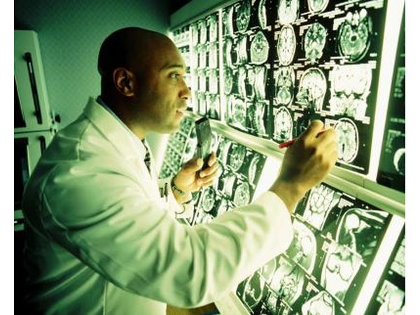 Neurobiologists