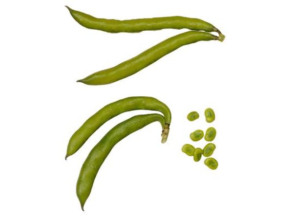 fava beans